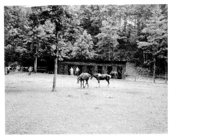 Higgs 11.jpg - First Period July, 1952